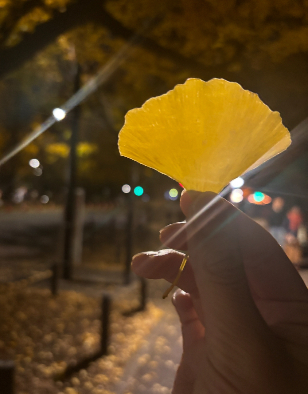 五百城 茉央｜今、飛び箱の踏み台を踏み込みたい　　　五百城茉央（2025-10-20）
