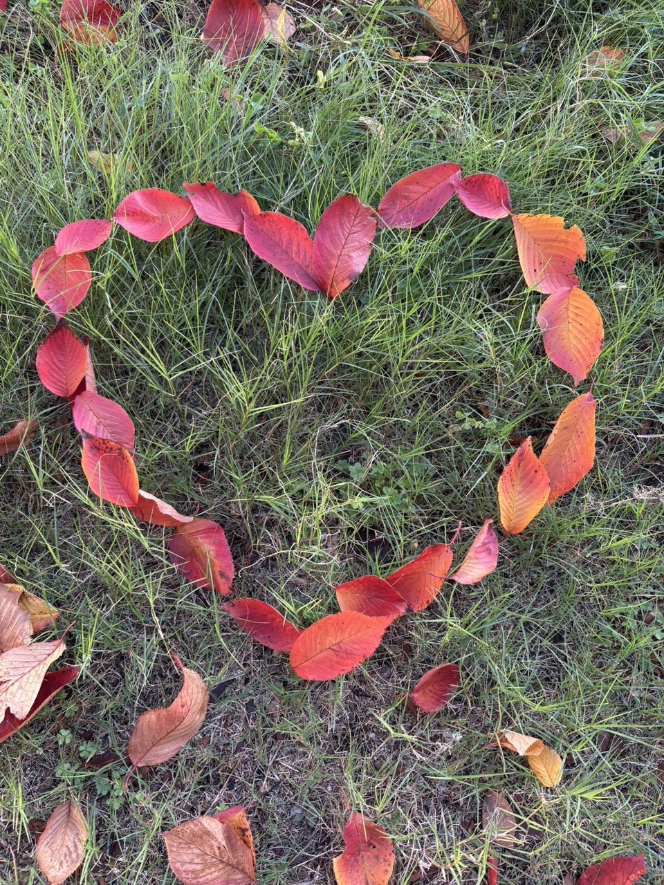 五百城 茉央｜太陽が霞むくらい   五百城茉央  #きっきのにっき（2025-11-17）