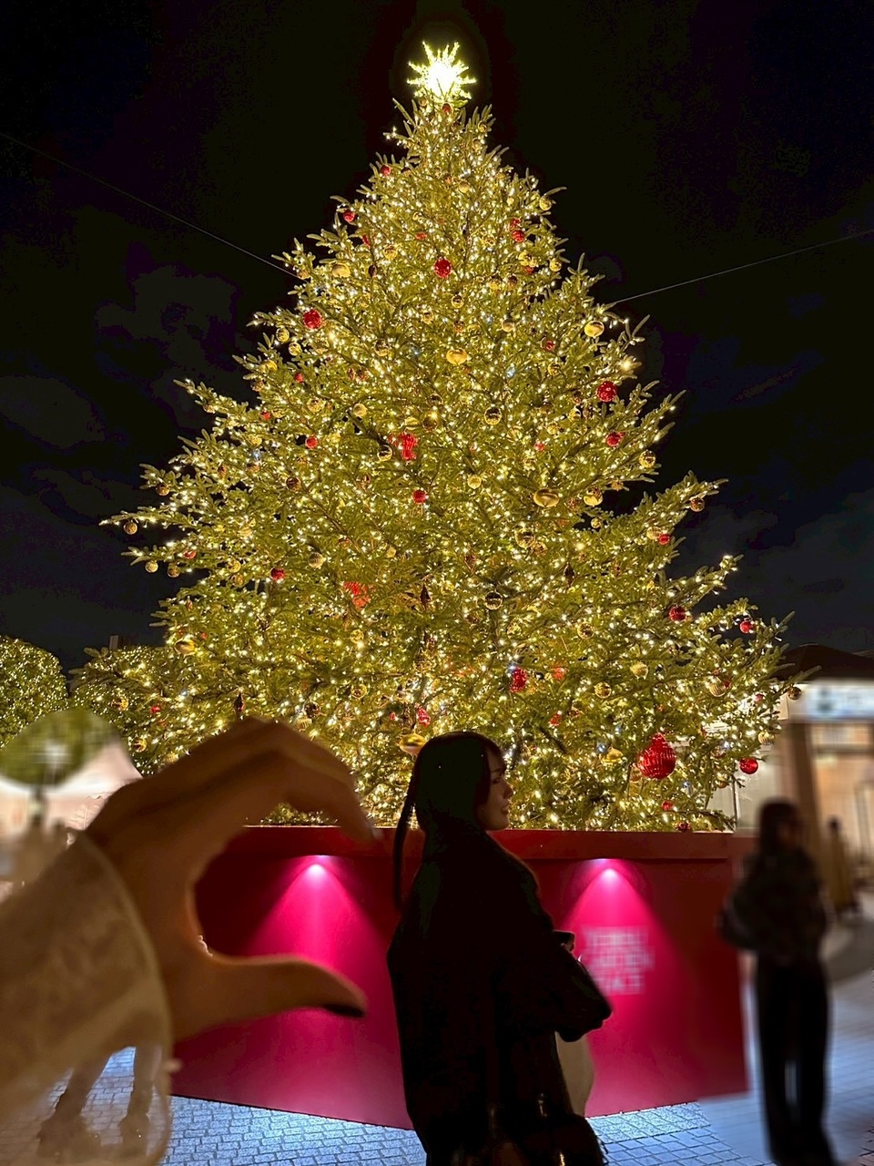 賀喜 遥香｜冷たい空気をあたためる（2025-11-17）