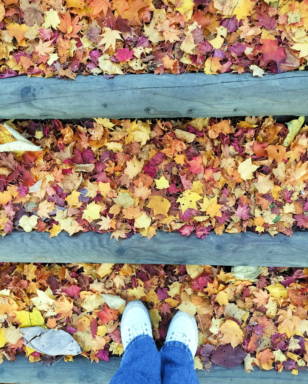 長嶋 凛桜｜夜の高速を走る時間  #りおたんの満開ブログ（2025-11-20）