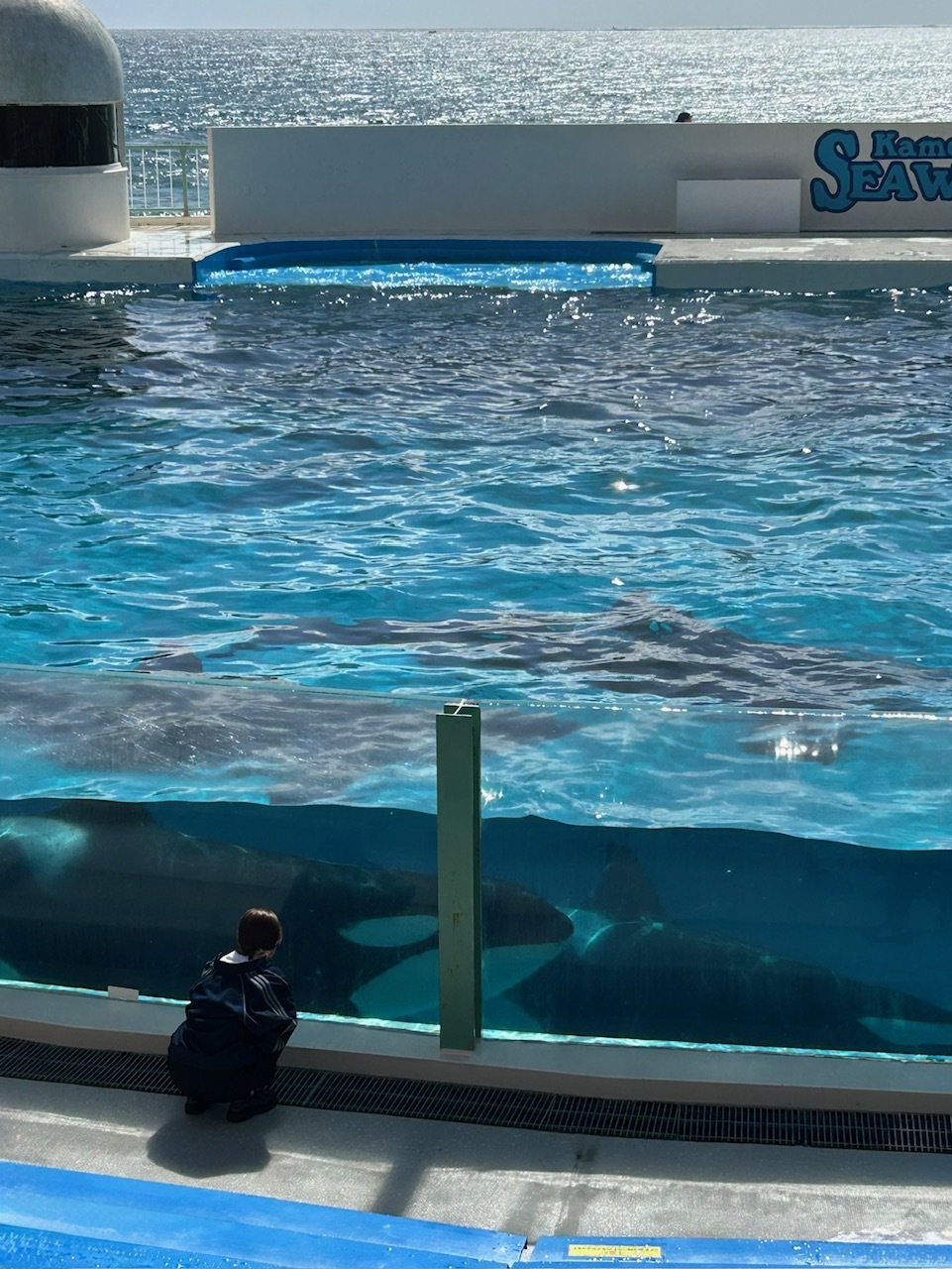 柴田 柚菜｜優位だった2025（2025-12-31）