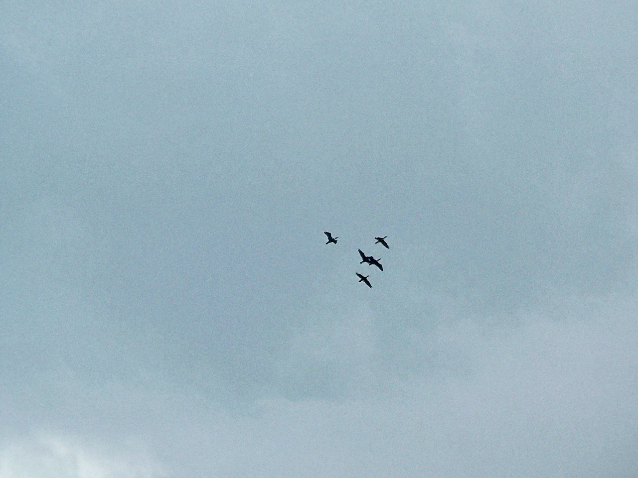 冨里 奈央｜ちゃんと前を向く（2026-02-16）