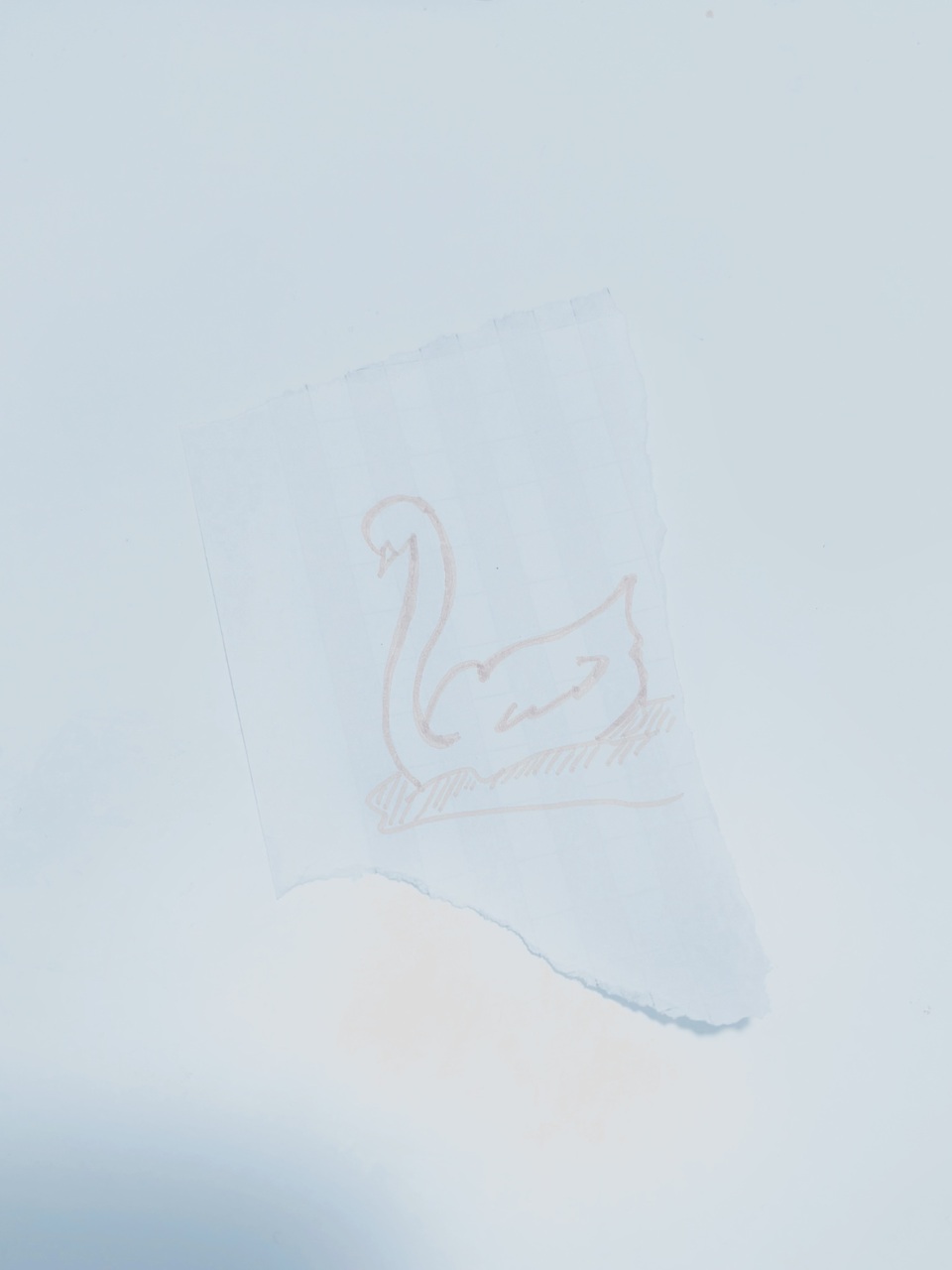 矢田 萌華｜羽はある。（2026-02-18）