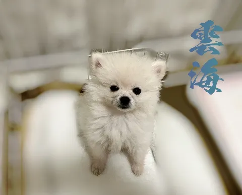 弓木 奈於｜写真を載せます（2024-03-26）｜4枚目