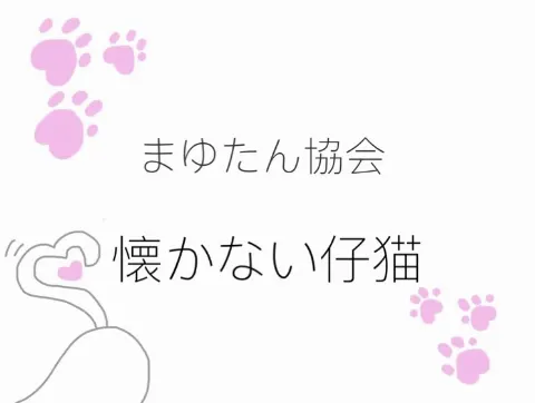 田村 真佑｜まゆたん協会（2024-07-29）｜2枚目