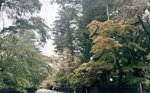 遠藤 さくら｜投げかけるには臆病者（2024-11-13）｜3枚目