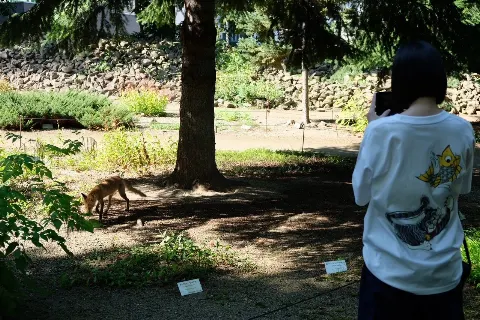 遠藤 さくら｜照れる気持ちはどのくらい？（2025-10-03）｜3枚目