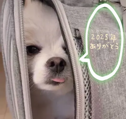 弓木 奈於｜2025弓木（2025-12-31）｜3枚目