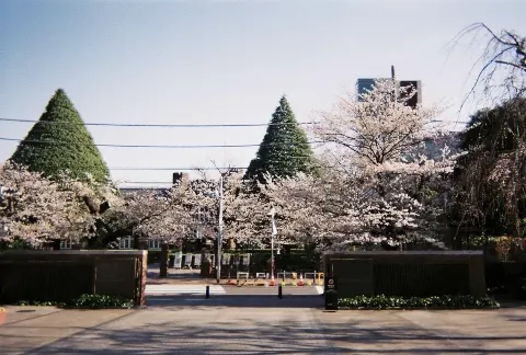 川﨑 桜｜はじまりの季節　　川﨑桜（2026-04-01）｜2枚目