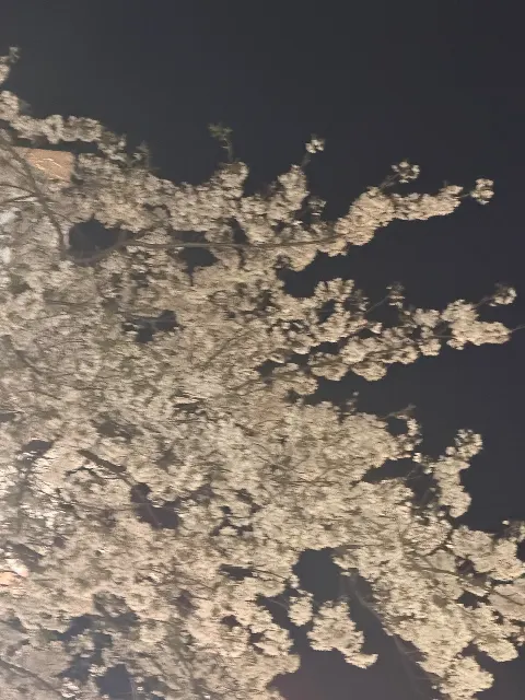 岡本 姫奈｜『最後に階段を駆け上がったのはいつだ？』本日発売日です！     #hinadaniblog   #岡本姫奈（2026-04-08）｜5枚目