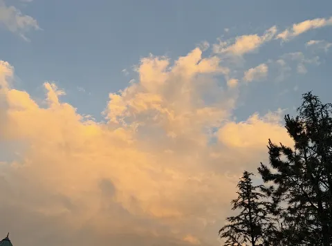 一ノ瀬 美空のブログ画像