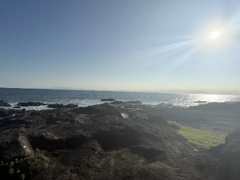海邉 朱莉のブログ画像