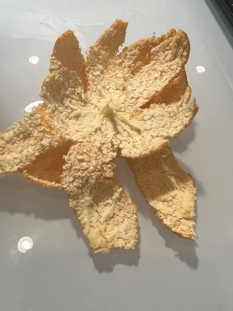 齋藤 飛鳥｜冬の匂いを纏ったみかんを食べるのが好きです。凍てつく寒さの中…（2022-12-26）