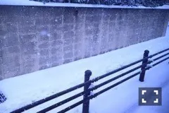 斎藤 ちはる｜ゆき。（2017-01-16）｜2枚目
