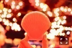 斎藤 ちはる｜夢の国。（2017-02-04）｜5枚目