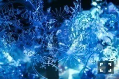 斎藤 ちはる｜雪と綿毛と（2017-03-10）｜2枚目