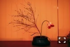 斎藤 ちはる｜神楽坂（2017-03-18）