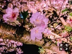 斎藤 ちはる｜いくつになっても（2017-04-13）｜2枚目