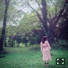 中元 日芽香｜ひめたん-0o0-その598（2015-12-22）｜4枚目