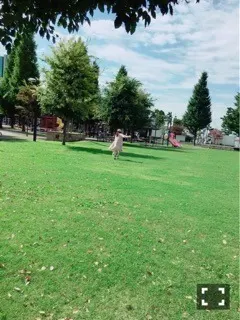 中元 日芽香｜ひめたん-0o0-その686（2016-11-25）｜3枚目