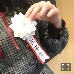 中元 日芽香｜ひめたん-0o0-その729（2017-11-24）｜3枚目