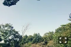 樋口 日奈｜日だまりのお部屋*27 7ひなちま（2013-10-13）｜5枚目