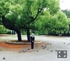 樋口 日奈｜日だまりのお部屋353 *ひなちま（2014-06-20）｜2枚目