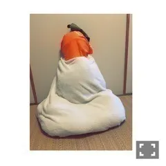 樋口 日奈｜日だまりのお部屋478*ひなち ま（2016-01-04）