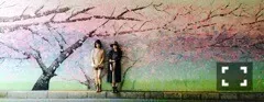 樋口 日奈｜大草原の小さなお部屋522*ひなちま（2016-10-03）｜5枚目