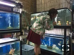 北野 日奈子｜そのボタンは押すべきか（2016-10-15）｜2枚目