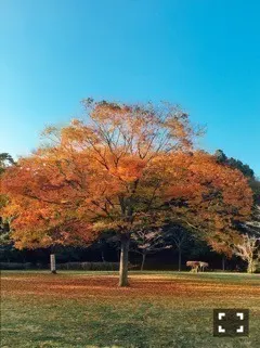 北野 日奈子｜新しいニット（2017-11-27）｜2枚目