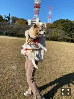 北野 日奈子｜逃げ込んだ毛布の内側（2020-12-04）｜2枚目