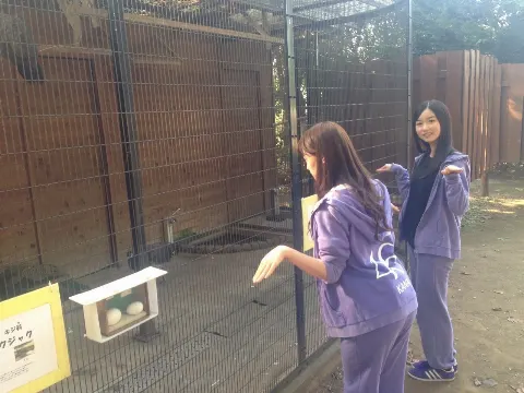 中田 花奈｜サンタさん、友達が欲しいカナ？1153（2015-12-13）｜6枚目