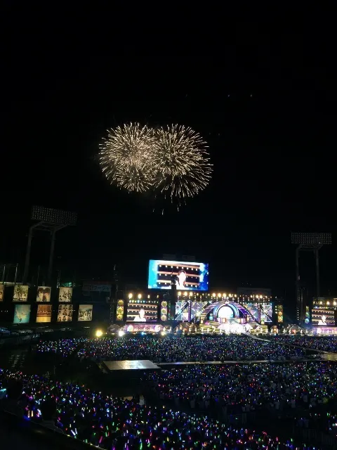 中田 花奈｜真夏の全国ツアー2016@神宮1日目レポカナ？1330（2016-08-31）｜12枚目