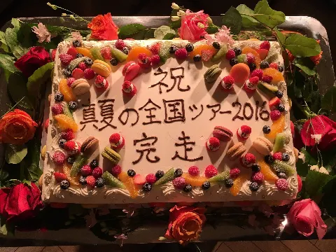 中田 花奈｜真夏の全国ツアー2016@神宮2日目レポカナ？1331（2016-09-01）｜12枚目