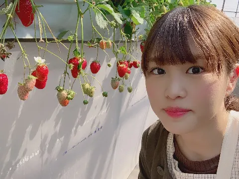 伊藤 かりん｜第443話 春の行楽。（2019-04-09）