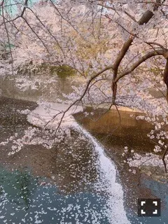 高山 一実｜（´-`）.｡oO(信じる心に咲く花と音符のカケラ集めたら（2019-04-15）｜5枚目