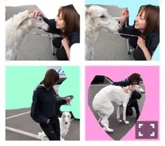 和田 まあや｜YOUは何しに日本へ(^^)in秘境（2018-11-13）｜37枚目