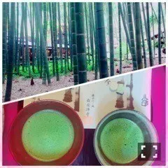 深川 麻衣｜お出かけシーズン  ＊ 785歩（2016-04-12）｜3枚目