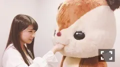 秋元 真夏｜みなみと伊織とまなったんヽ(｡･ω･｡)ﾉ913（2017-05-27）｜4枚目