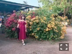 秋元 真夏｜こっぷんかーヽ(｡･ω･｡)ﾉ542（2018-01-06）｜2枚目