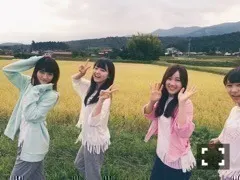 伊藤 万理華｜ネズミとマングース 。670回目（2015-10-07）｜2枚目
