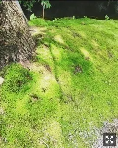 伊藤 万理華｜熱しやすく冷めやすい。777回目（2017-08-05）｜4枚目
