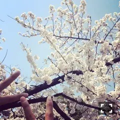星野みなみ｜パンケーキ選抜（2015-04-06）｜10枚目