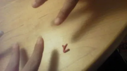 星野みなみ｜コロコロ∩ω∩♪♪（2012-04-15）｜3枚目