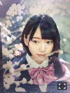 堀 未央奈｜ハルジオン♪（2016-03-08）｜2枚目