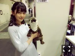 堀 未央奈｜カワウソさん（2016-05-03）｜2枚目