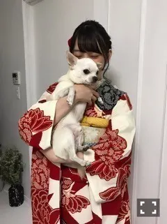 堀 未央奈｜ハタチ（2017-01-12）
