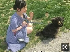 堀 未央奈｜たれぱんだ（2017-05-29）｜5枚目