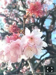 堀 未央奈｜眼鏡に水たまり（2016-02-17）｜2枚目